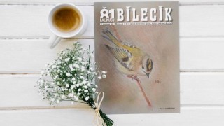 Çalıkuşu Bilecik dergisinin kapak tasarımı 11inci sınıf öğrencisi yaptı