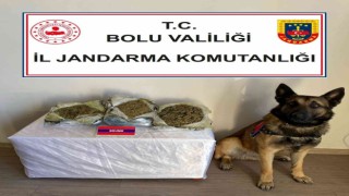 Çantalarında uyuşturucu taşıyan şüpheliler dedektör köpeğe takıldı