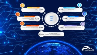 Cerebrum Tech gelirini 9a katladı