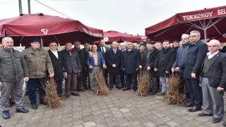 Çiftçilere 2 bin 500 kestane fidanı dağıtıldı