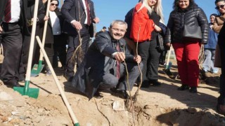 Çivrilde 15 Temmuz şehitleri anısına 300 ceviz fidanı toprakla buluşturuldu