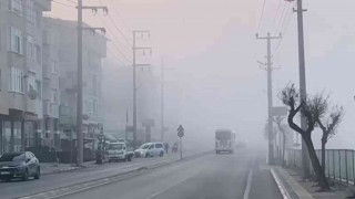Darıcada sis etkili oldu