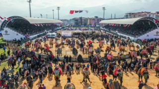 Denizlide hafta sonu 120 pehlivan deve güreşecek