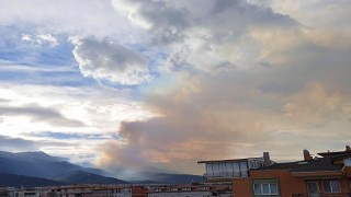 Denizlideki orman yangınına güçlükle müdahale ediliyor