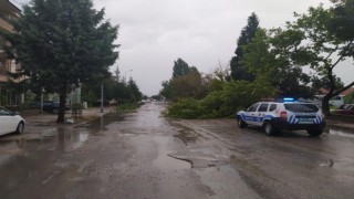 Denizliye fırtına uyarısı