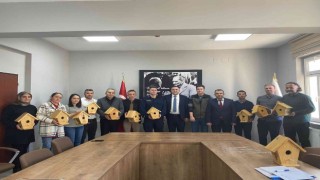 Derebucakta kuşlara ahşaptan sıcak yuva