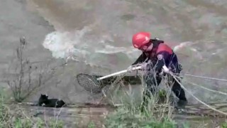 Derede mahsur kalan kediyi itfaiye ekipleri kurtardı