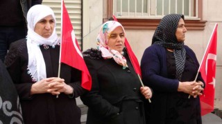 Diyarbakır anneleri bin 229 gündür evlat yolu gözlüyor