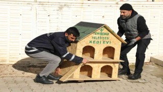Diyarbakırda sokak hayvanları için 200 adet ev yerleştirildi