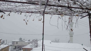 Diyarbakırda yılın ilk karı her yeri beyaza bürüdü