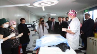 Dokuz Eylülden sokak hayvanlarına şefkat eli