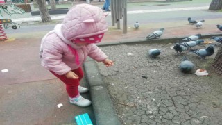 Elindeki krakeri güvercinlerle paylaştı