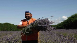 En özel ürünler bu vadide yetişecek