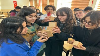 Ercişte matematik şenlikleri düzenlendi