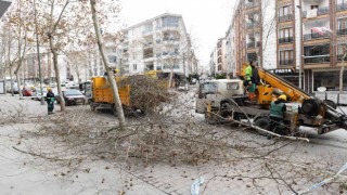 Esenyurtta ağaçlar kışa hazırlanıyor