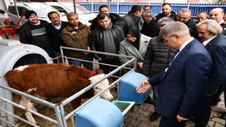 Etçi ve Kombine Irkların Yaygınlaştırılması Projesi genişliyor