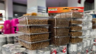 Evcil hayvan bakımı da pahalandı