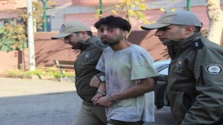 Evden kaçan kediyi acımasızca yumrukladı, o anlar kamerada