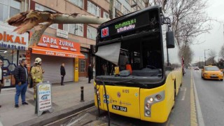Fatihte facianın eşiğinden dönüldü: İçinde yolcuların bulunduğu İETT otobüsü ağaca çarptı