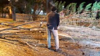 Fırtına ağaçları devirdi, çatıları uçurdu