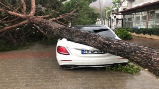 Fırtına ağaçları devirdi, lüks araç ve bir ev zarar gördü