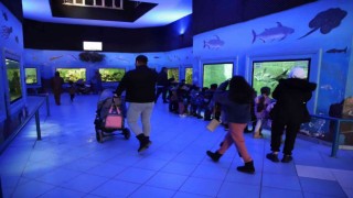 Gaziantepte yırtıcı hayvanlar için safari park kurulacak