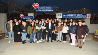 Genç hayvanseverlerden kedi düşmanına tepki