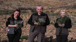 Gerenceden yanık kokusu yerine adaçayı ve kekik kokuları geliyor