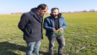Gölbaşında çiftçilerin kuraklık endişesi