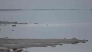Göller bölgesinde kuşların izini sürüyorlar