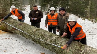 Gölyakada orman üretim bölmeleri kontrol edildi