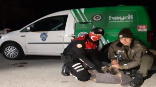 Havaların soğuduğu Uşakta sokak canlıları unutulmadı