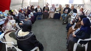 HDP mağduru ailelerden Diyarbakıra gelen Meral Akşenere tepki