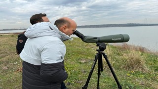 Hersek Lagününde 2023 kış ortası kuş sayımı