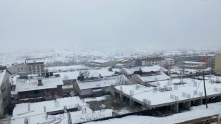 Hozatta kuduz karantinası