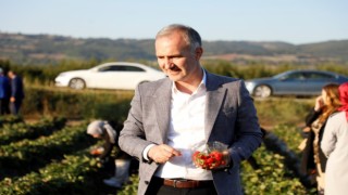 İnegöl tarımı şahlanıyor