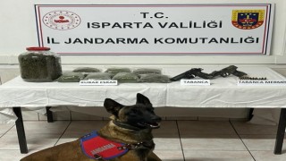 Ispartada uyuşturucu operasyonu