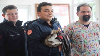 İtfaiye ekipleri kurtardıkları kediyi sahiplendi