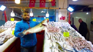 İzmir Foça tezgahlarında levrek bolluğu