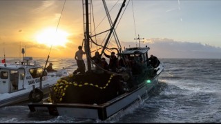 İzmir Körfezinde kaçak avcı operasyonu: Balıkçı teknesi kaçtı, ekipler kovaladı