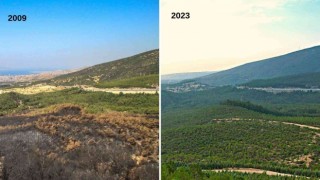 İzmirin akciğerleri, yangından 14 yıl sonra yeşerdi