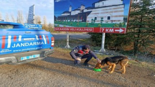 Jandarma ekiplerinden sokak hayvanlarına yönelik örnek davranış