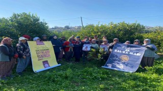 Jandarma limon bahçesinde işçilere Kadına El Kalkamaz projesini anlattı