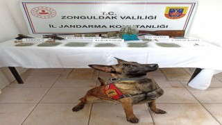 Jandarma zehir tacirlerine göz açtırmıyor