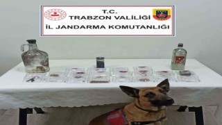 Jandarmadan uyuşturucu partisine baskın