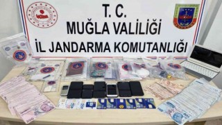 Jandarmadan uyuşturucu ve bilişim dolandırıcılığı operasyonu
