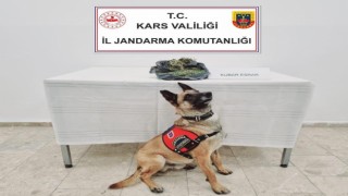 Jandarmadan uyuşturucuya geçit yok