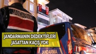 JASAT, 1 yılda 788 olayı aydınlattı