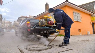 Kareside haşere ile mücadele sürüyor