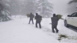 Karla kaplı Spil Dağında yaban hayatı unutulmadı